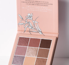 ASTRA PURE BEAUTY EYES PALETTE